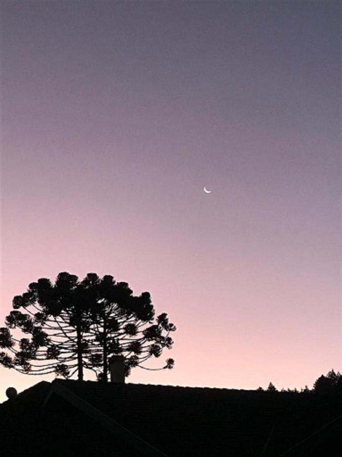 Chale Do Tio Tom - Residencia Em Condominio Campos do Jordao Dış mekan fotoğraf
